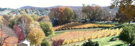 Stone Hill Overlook - Home