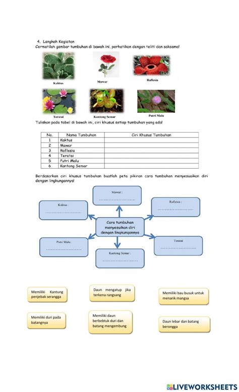 Adaptasi Hewan dan Tumbuhan interactive worksheet | Worksheets, Microsoft word 2007, School ...