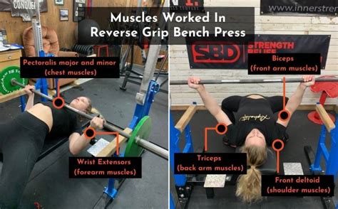 Reverse Grip Bench Press: How-To, Benefits, Muscles Worked ...