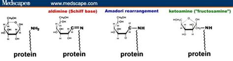 hemoglobin beta chain),