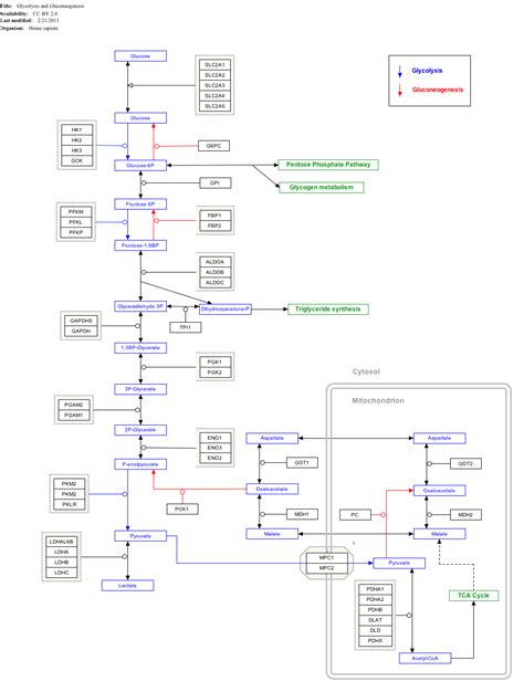 Malate-aspartate shuttle - Wikipedia