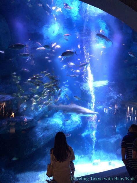 [ Sumida Aquarium ] Compact Aquarium at Tokyo Skytree town – Traveling ...