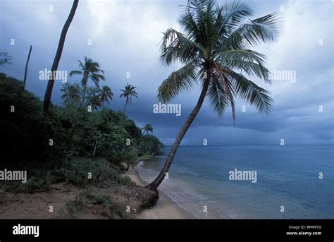 Vieques, Puerto Rico Stock Photo - Alamy