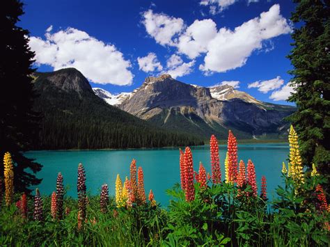 Yoho National Park | Earth Blog