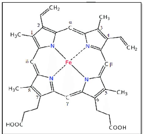 4: Structure of ferri-protoporphyrin IX (haem). The modified Fisher | Download Scientific Diagram