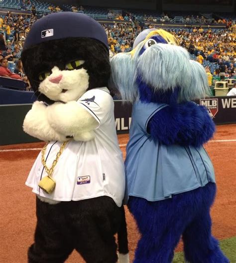 The record-scratching feline joins Raymond as a new Rays mascot ...