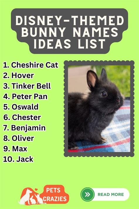 300+ Disney-themed Rabbit Names (Let the Fairytale Begin)