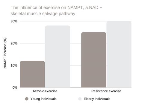 Nicotinamide Riboside: Benefits, Side Effects, Usage