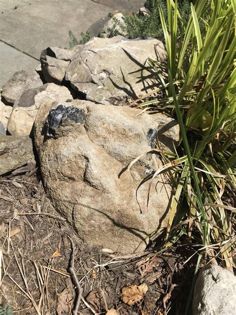 Found a Stone Talus in my backyard. : r/Breath_of_the_Wild