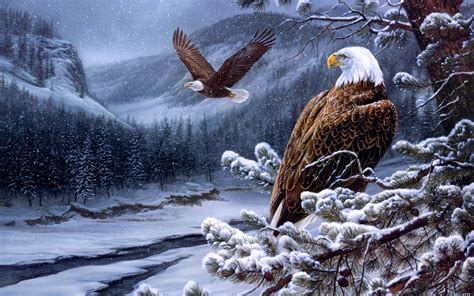 🔥 Download Pics Photos Bald Eagle Desktop Wallpaper And Background by ...