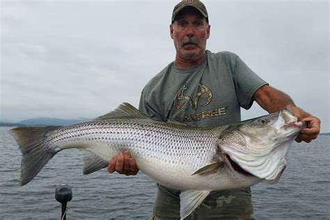 Striper Fishing on Lake Texoma: The Complete Guide for 2023