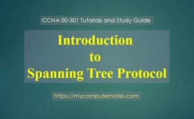 Different Types of Spanning Tree Protocols | My Computer Notes