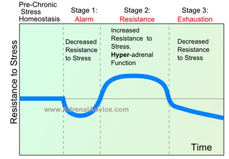 Stages of Adrenal Fatigue