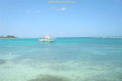 Snorkeling!- Sandals Royal Caribbean | Royal caribbean, All inclusive beach resorts, Beach resorts