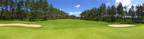 Royalty-Free photo: Selective focus photography of golf ball on golf tee | PickPik