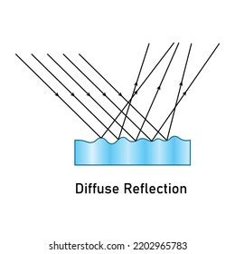 Diffuse Reflection Diagram Scientific Vector Illustration Stock Vector (Royalty Free) 2202965783 ...