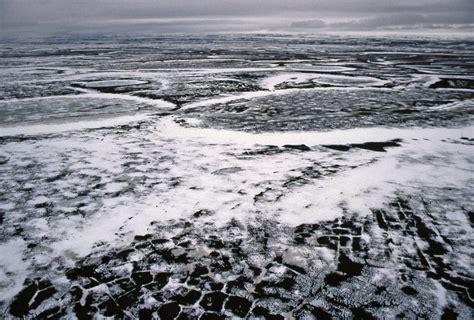 Arctic Tundra melting in late June, "Taymyrsky Zapovednik"… | Flickr