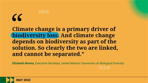 Biodiversity - our strongest natural defense against climate change | United Nations