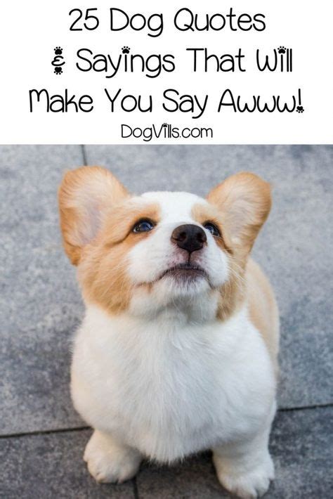 Cute Dogs With Sayings