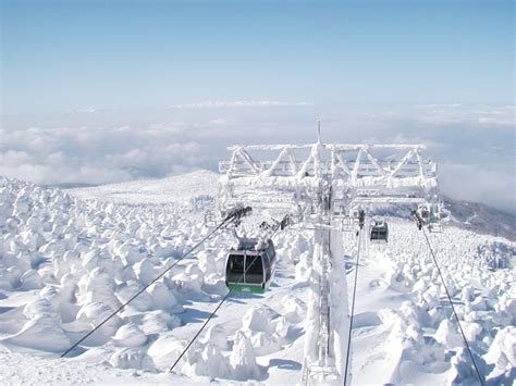 Skiing with snow monsters at Zao Onsen