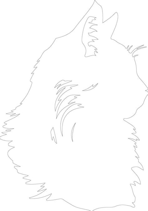 Maine Coon Cat outline silhouette 38496238 Vector Art at Vecteezy