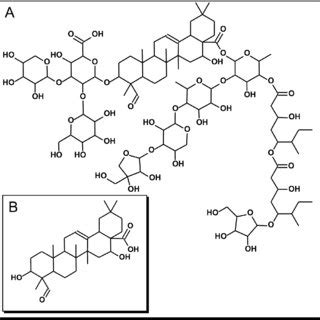 Chemical structure of the triterpenic compounds employed in this study.... | Download Scientific ...