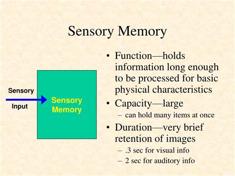 Sensory memory - vialader