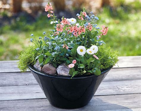 Flower Pot Ideas For Patio | Best Flower Site