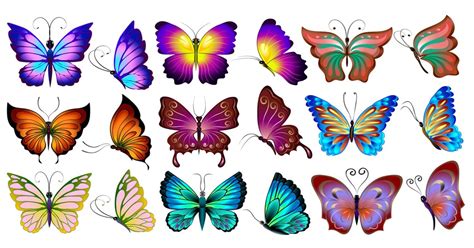 FREE Butterfly Clip Arts - Learn About Nature