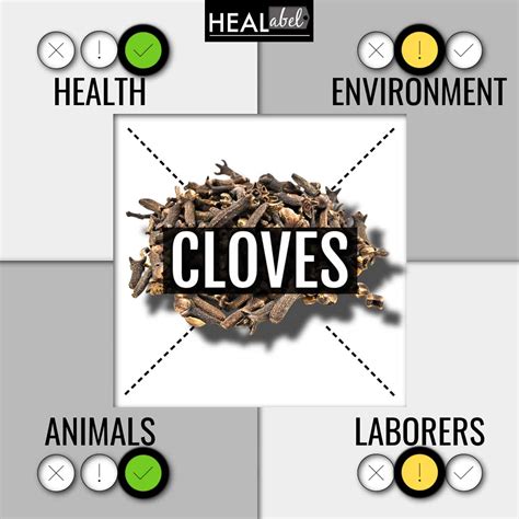 Cloves Benefits + Side Effects