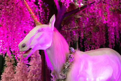 Unicorn World is coming to Indianapolis this February - Indy's Child