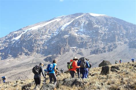 8 Days Mount Kilimanjaro Hiking Tour via Lemosho Route | Trip Ways