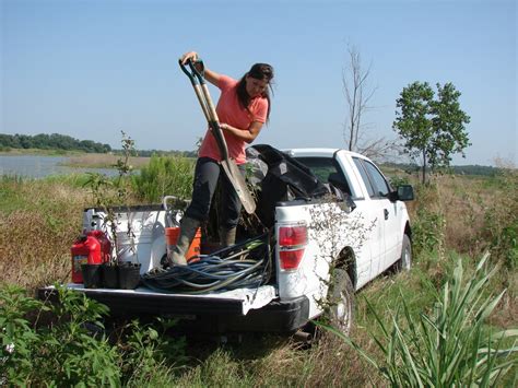 ERDC scientists help create man-made ecosystem with “wild” results ...