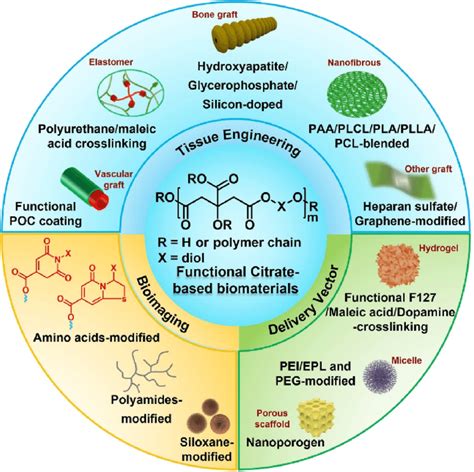 Development and biomedical applications of functional citrate-based... | Download Scientific Diagram