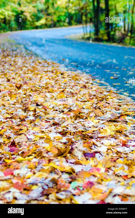 autumn country road Stock Photo - Alamy