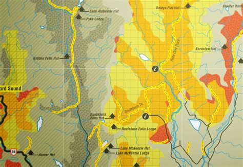 Fiordland Map - Andrea Muller Design Portfolio