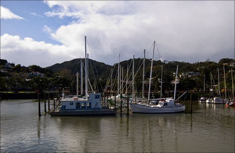 Whangarei Town Basin Marina | Michael C. | Flickr