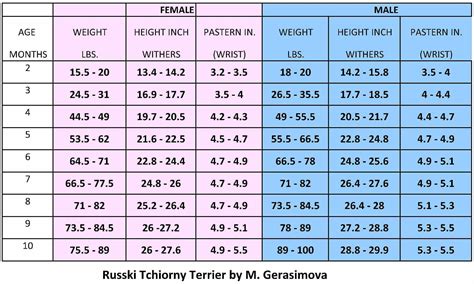 Boxer dog boxer puppy growth chart - seryhunt