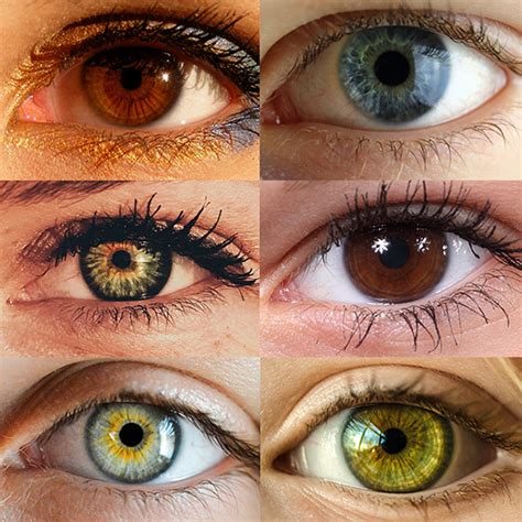 Eye Color Trivia – University Place WA | Vision Care Associates/Yelm ...