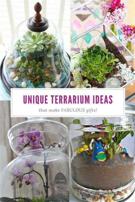 12 Unique Terrarium Ideas that Make GORGEOUS Gifts! (#3 is great for ...