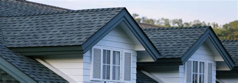 How to Paint Roof Shingles - Why It's Recommended | Pro Painters