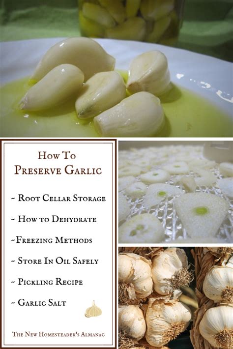 How To Preserve Garlic | Preserving garlic, Garlic recipes, Garlic