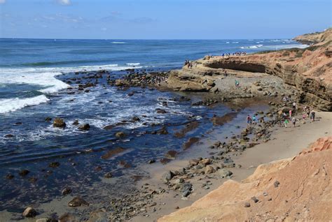 The Rocky Intertidal Zone - Cabrillo National Monument (U.S. National Park Service)