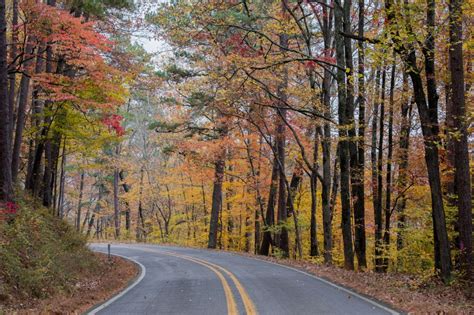 Arkansas in Fall: Foliage, Road Trips & Festivals