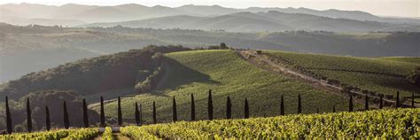 Chianti Classico Wine Tours: The best wine tours in Chianti Classico