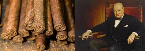 The Cigar Guide I - History, Making & Humidors