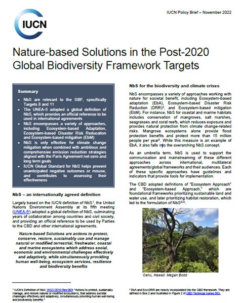 Nature-based Solutions in the Post-2020 Global Biodiversity Framework Targets - resource | IUCN