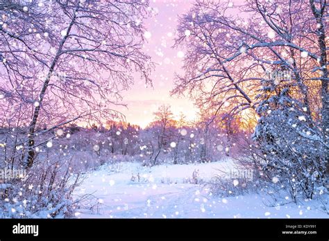 beautiful winter landscape with forest, trees and sunrise. winterly ...