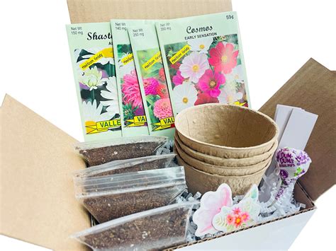 Butterfly Garden Kit Butterfly Garden Seed Kit Gift for | Etsy