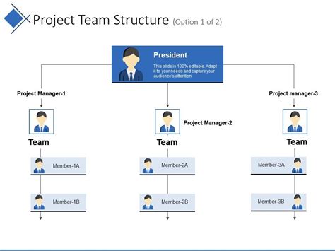 Project Team Structure Example Of Ppt Presentation | PowerPoint Slides ...